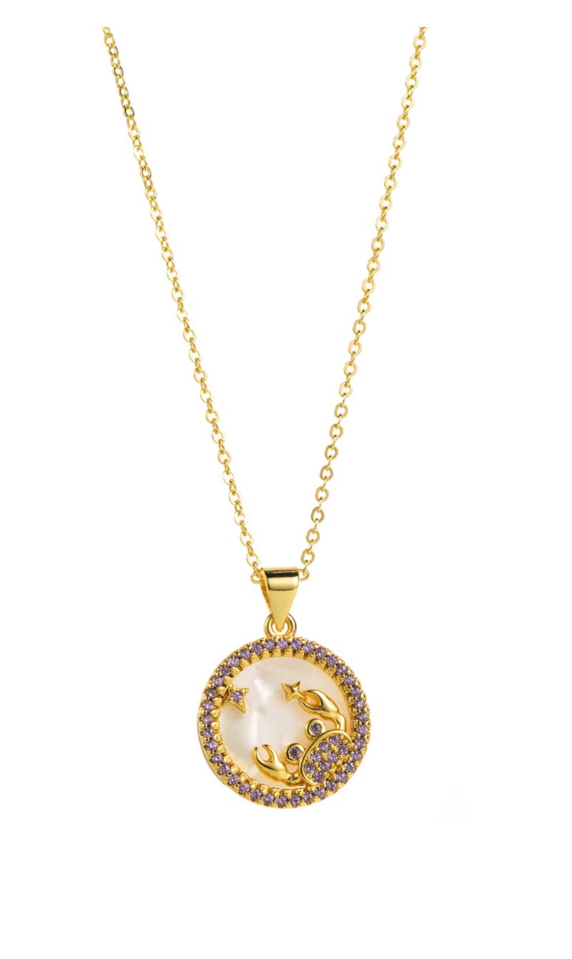 Zodiac Sign Pendant Necklace