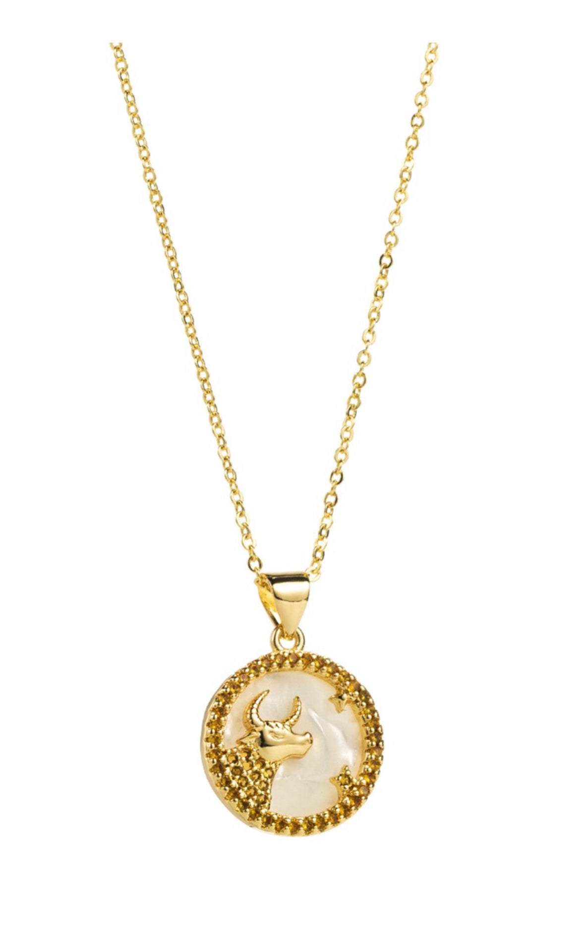 Zodiac Sign Pendant Necklace